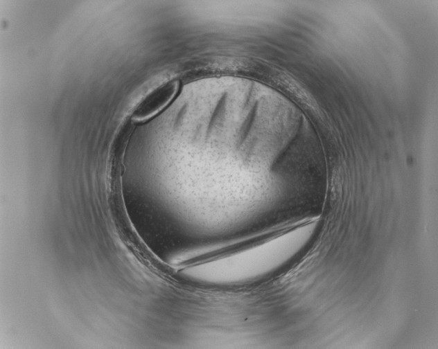 X0000088580722200706151710