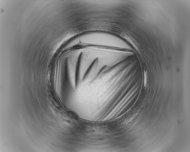 X0000088580723200706151710