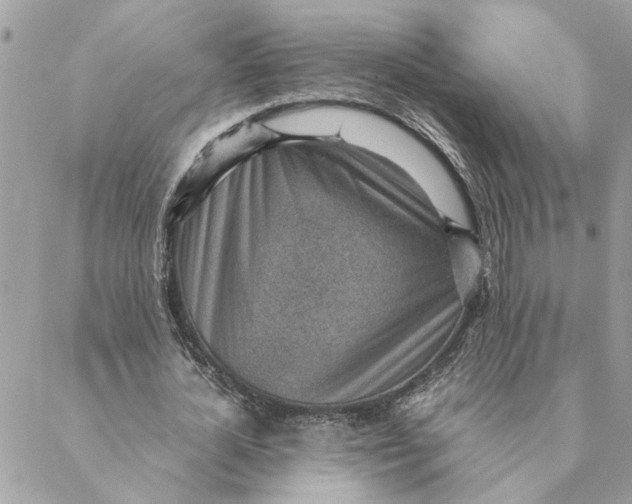 X0000088580724200706151710