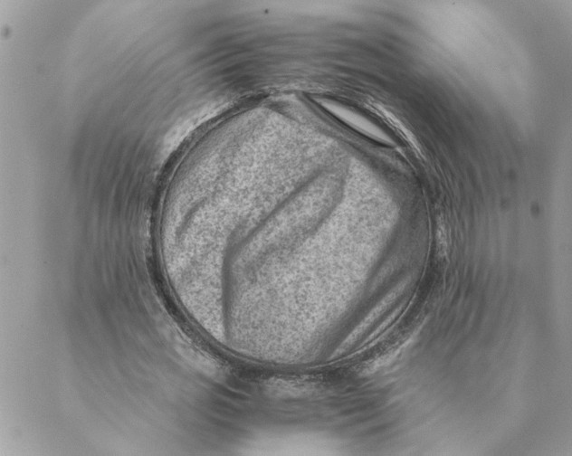 X0000088580725200706151711