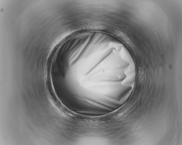 X0000088580726200706151711