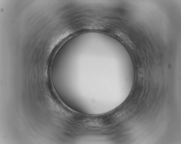 X0000088580727200706151711