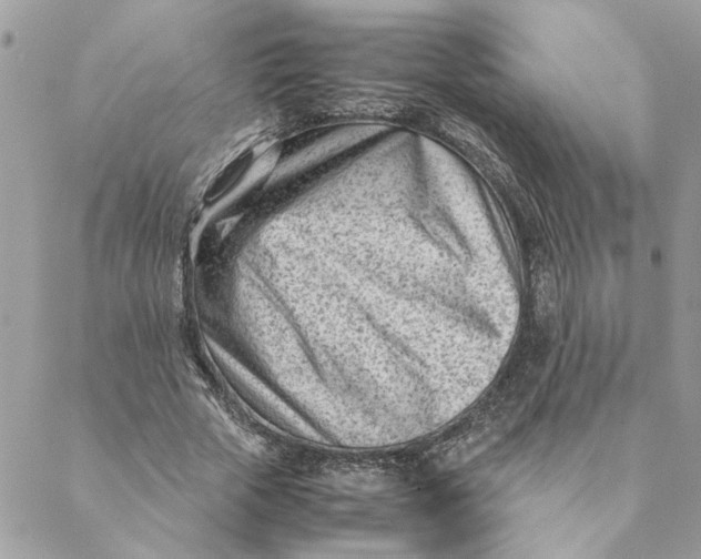 X0000088580729200706151711