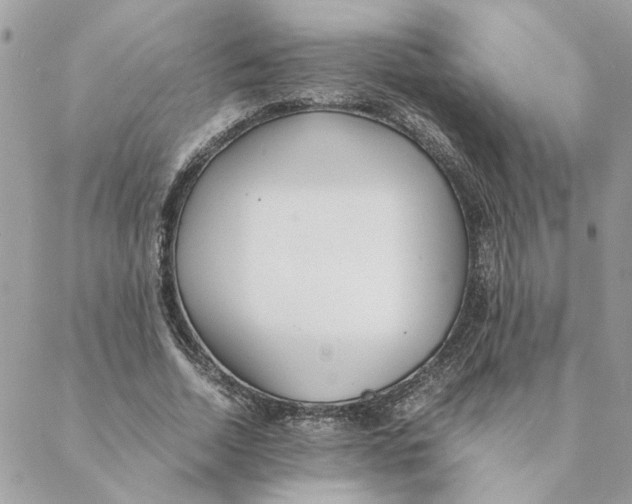 X0000088580730200706151711