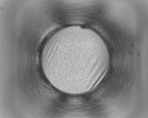 X0000088580731200706151711