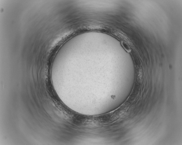 X0000088580732200706151711