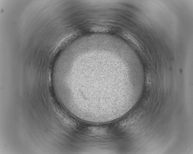 X0000088580733200706151711