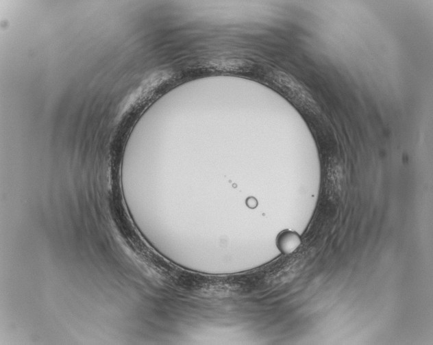 X0000088580734200706151711