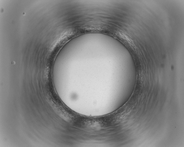 X0000088580735200706151711