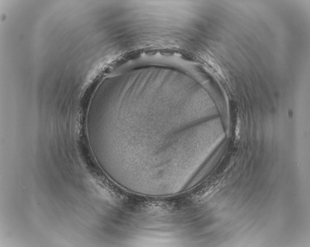 X0000088580736200706151711