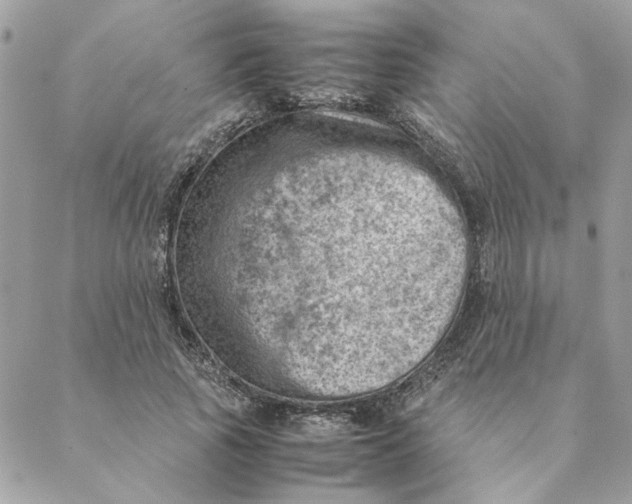 X0000088580737200706151711