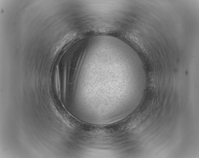 X0000088580738200706151711