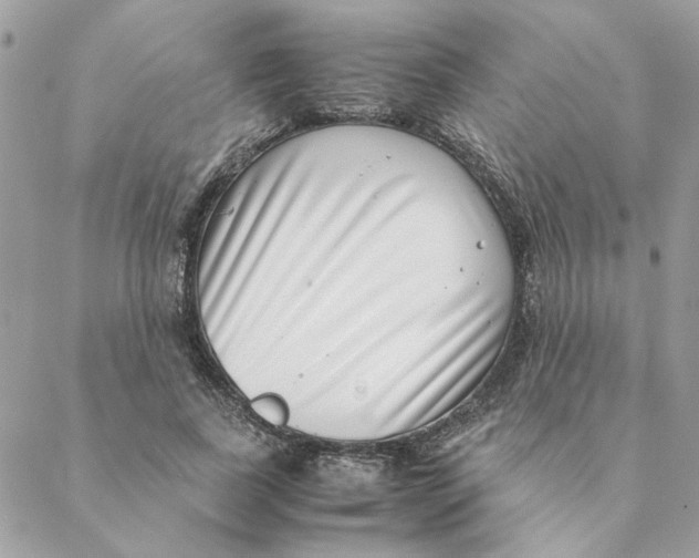 X0000088580739200706151711