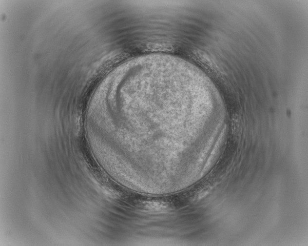 X0000088580741200706151711