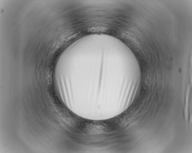 X0000088580743200706151711