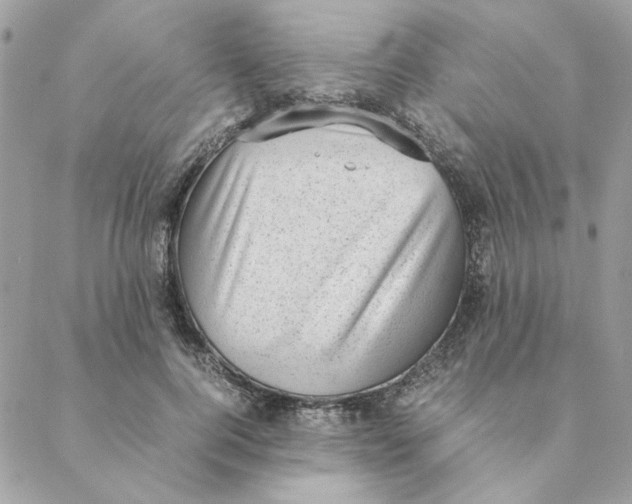 X0000088580744200706151711