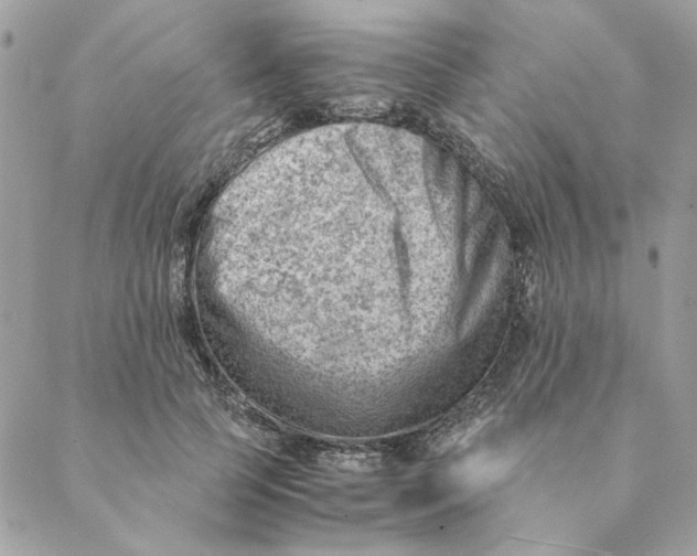 X0000088580745200706151711