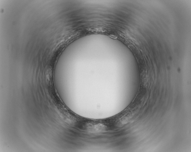 X0000088580747200706151711