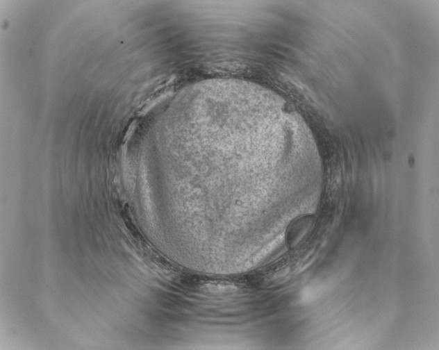 X0000088580749200706151711