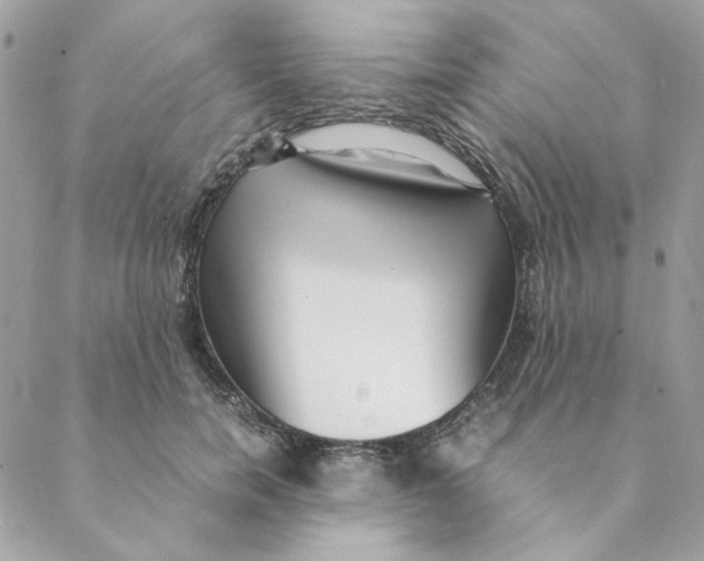 X0000088580750200706151711