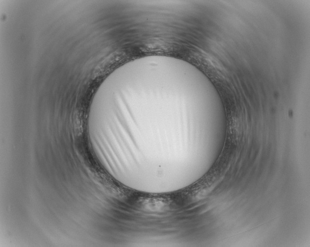 X0000088580751200706151711