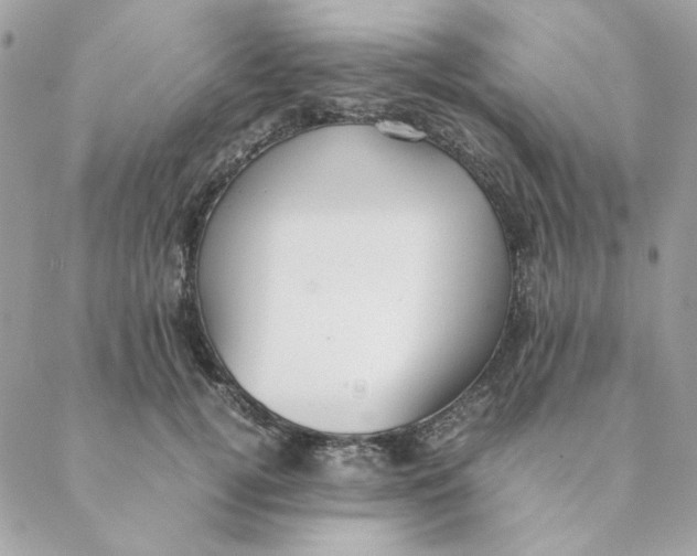 X0000088580752200706151711