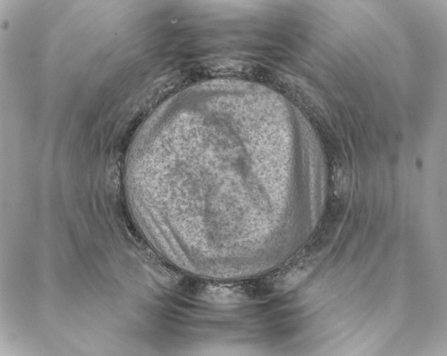 X0000088580753200706151711