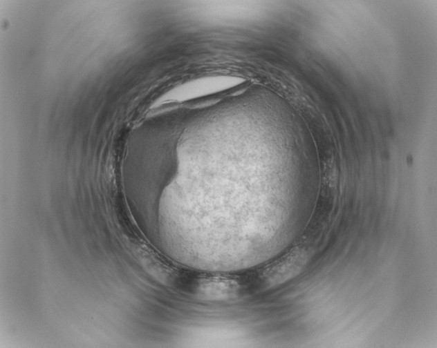 X0000088580754200706151711