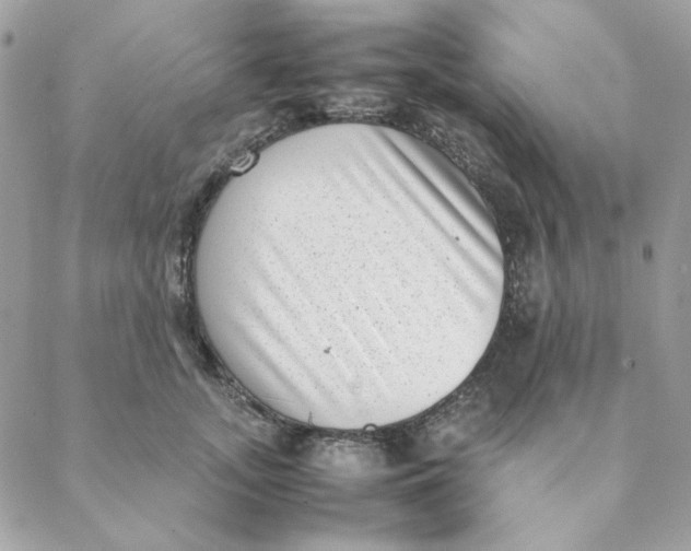 X0000088580755200706151711