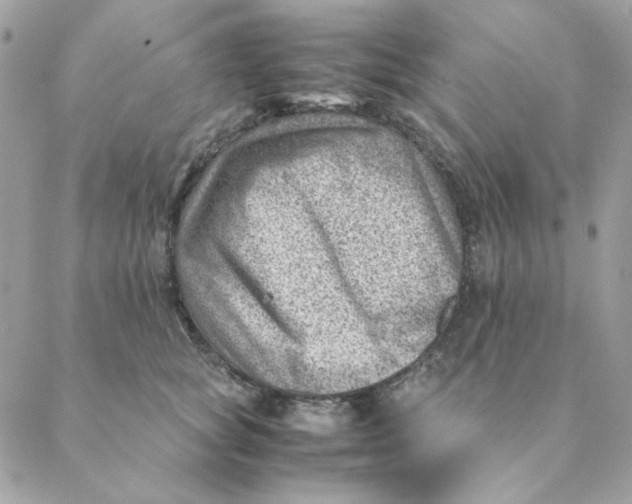 X0000088580757200706151711