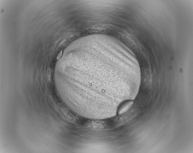 X0000088580758200706151711