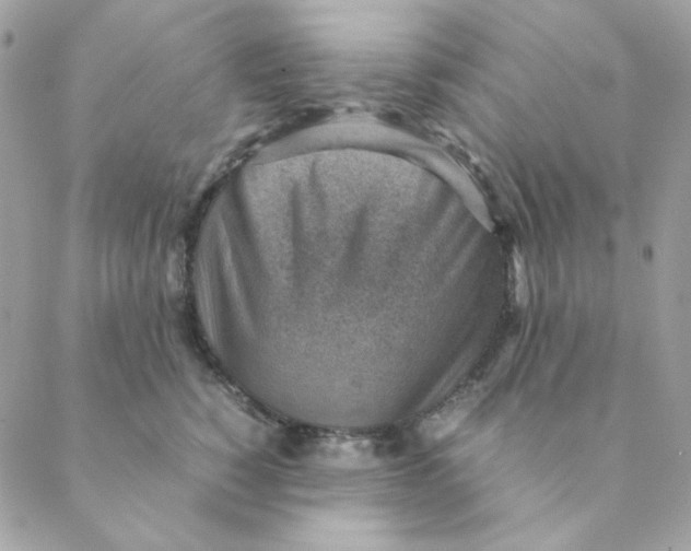 X0000088580760200706151711