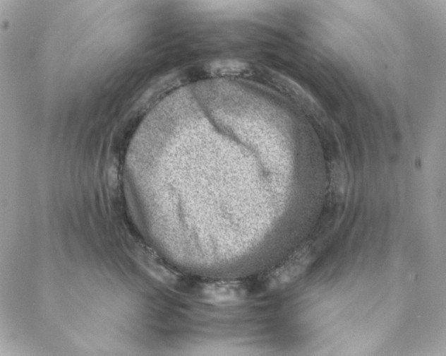 X0000088580761200706151711