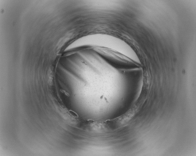 X0000088580762200706151711