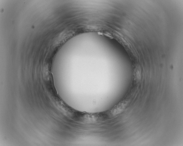 X0000088580764200706151711