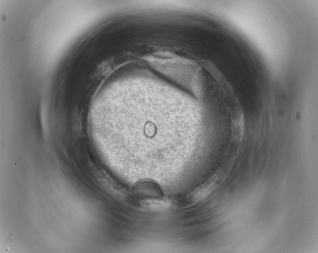 X0000088580765200706151711