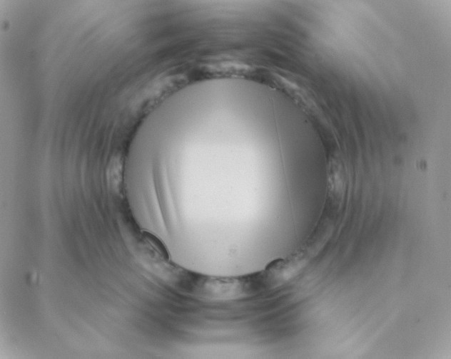 X0000088580767200706151711