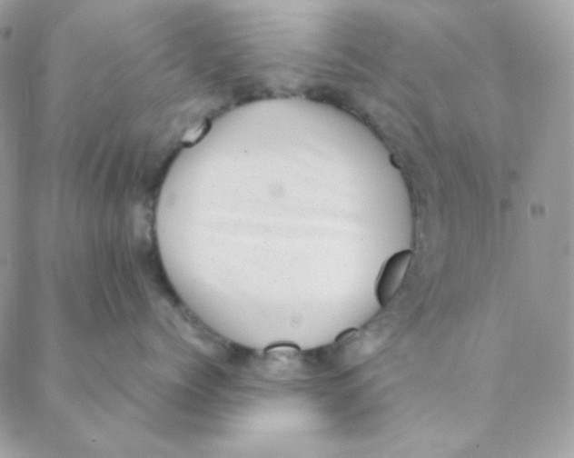 X0000088580768200706151711