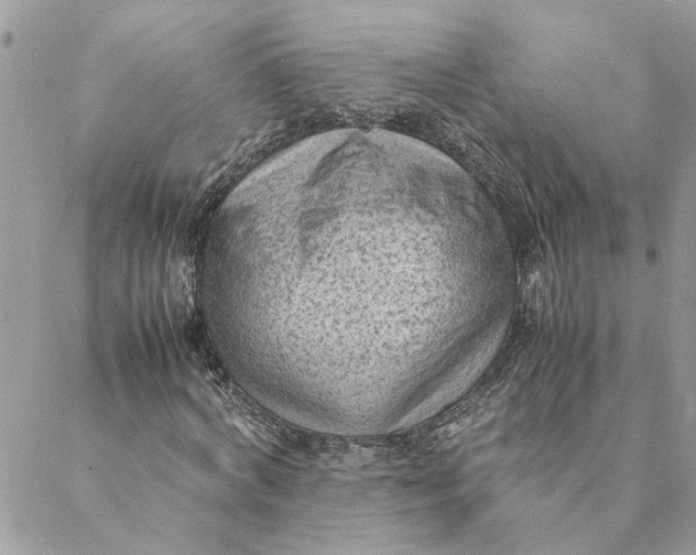 X0000088580772200706151710