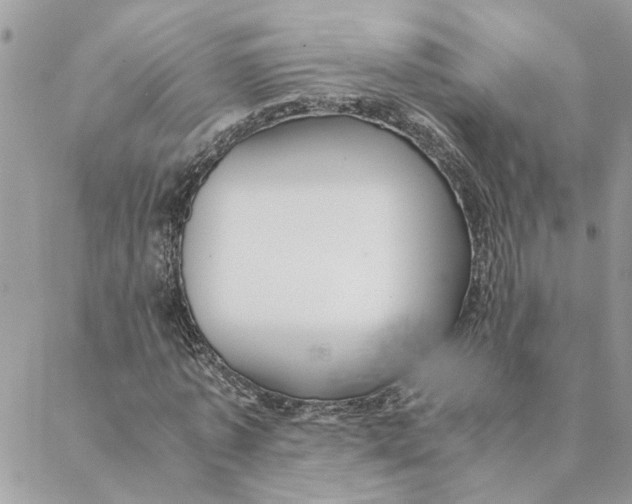 X0000088580773200706151710