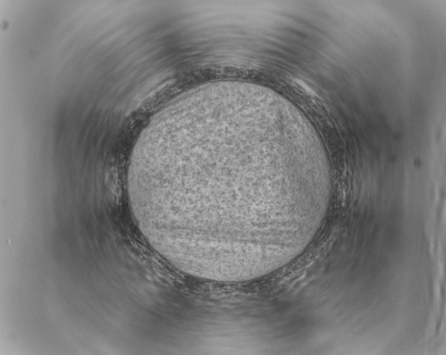 X0000088580774200706151710