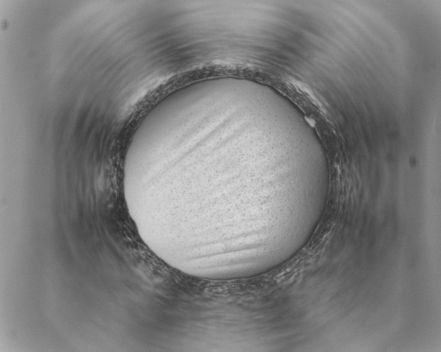 X0000088580776200706151710