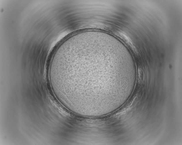 X0000088580780200706151710