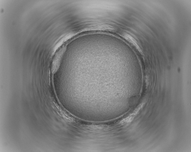 X0000088580781200706151710