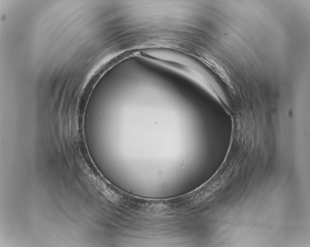 X0000088580784200706151710