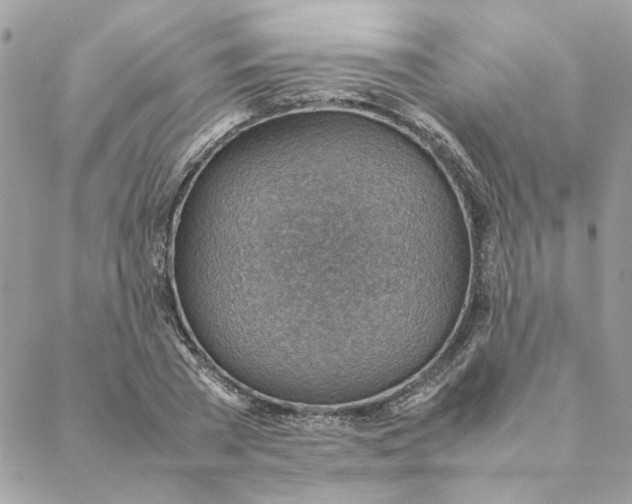 X0000088580785200706151710