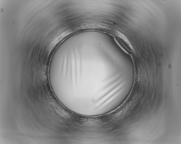 X0000088580786200706151710