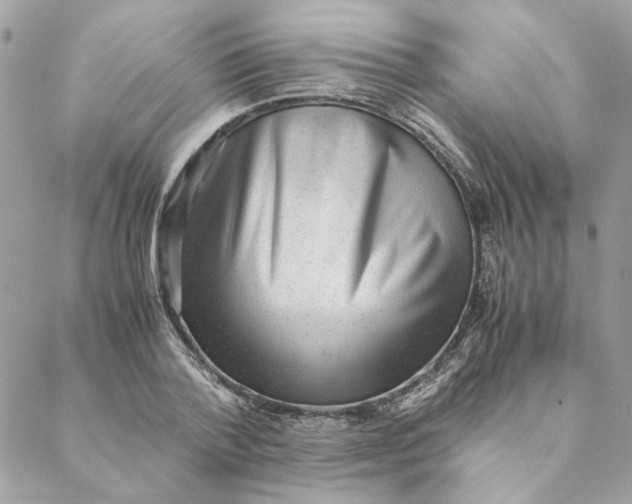 X0000088580788200706151710