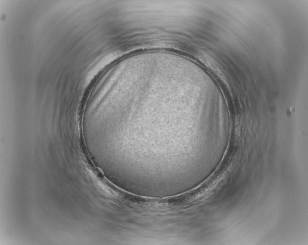 X0000088580789200706151710