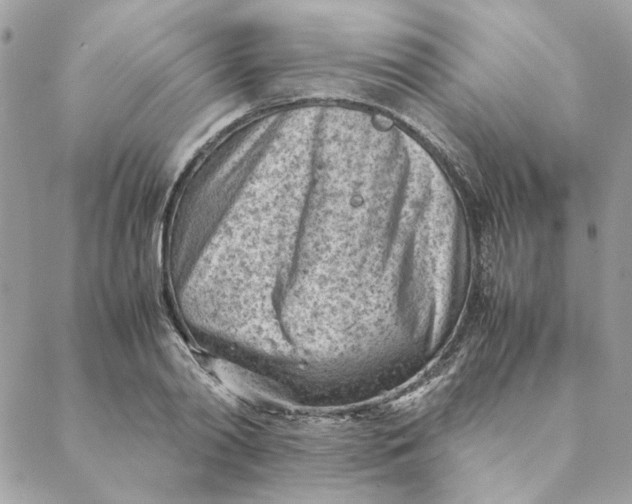 X0000088580790200706151710